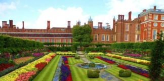 Faraway in an English country garden