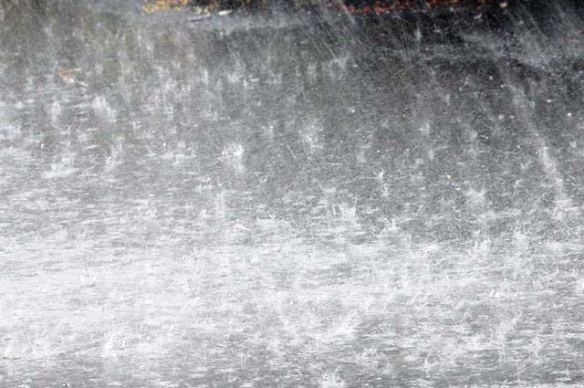 torrential-rain Rain