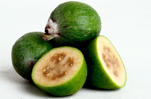 Feixoa