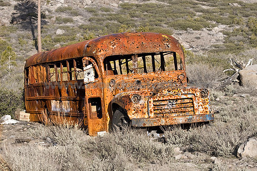 bus