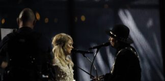 Netherlands, The – The cheap version of Ovi and thing…. Common Linnets