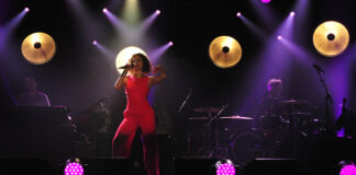 Four points of view on Germany