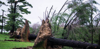 So, now the storm has gone – what do I think? after the storm