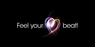 Holiday on the buses