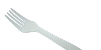 Eurovision 2004 – OnEurope Awards – Day Five