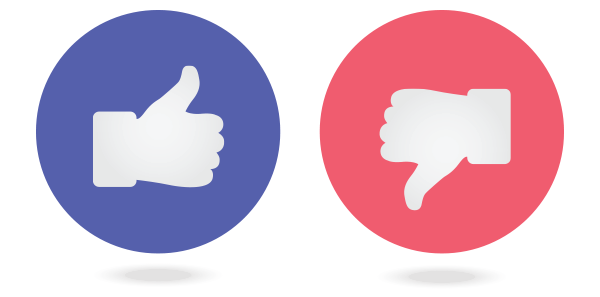 opinion Opinion