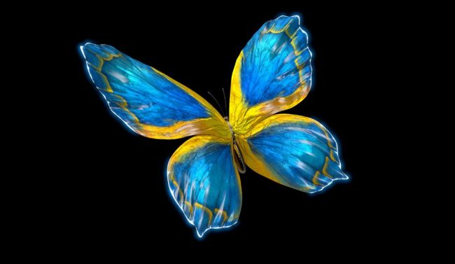swedish-butterfly Sweden at Eurovision