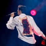 Belarus – what a mess! Alekseev