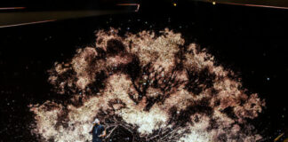 Hungary – dark, broody and shoeless Joci