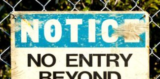 Is it no go for Montenegro at Eurovision? No entry for Montenegro at Eurovision 2020