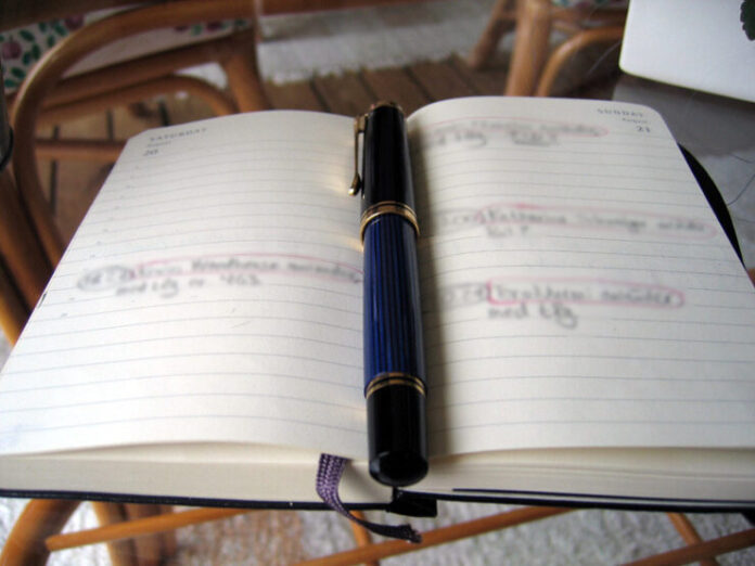 33643228_2346d7687f_c Diary