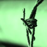 Russia quits European Broadcasting Union Barbed wire