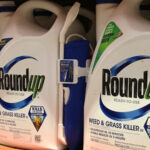 RESULTS ROUND UP – Week seven in review