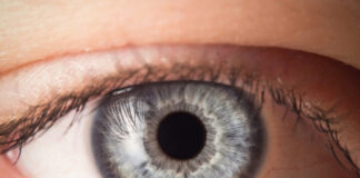 So Phil, Where ya been hiding?