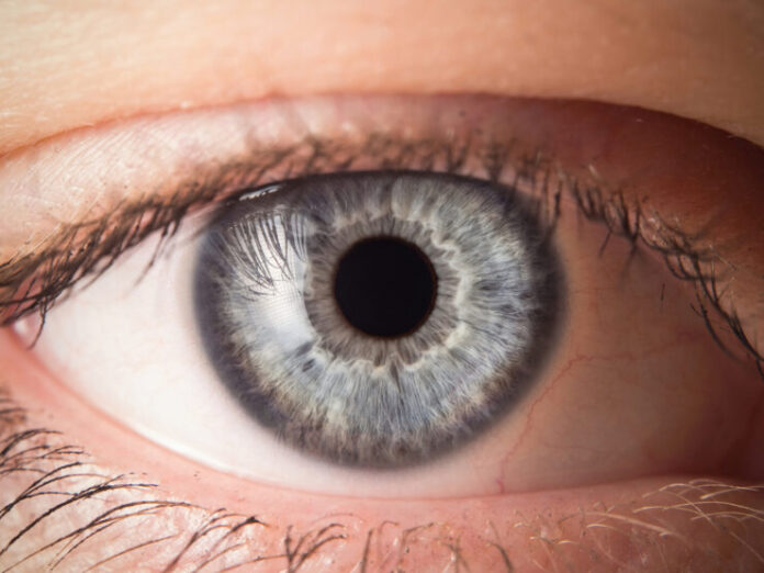 shutterstock_355909886