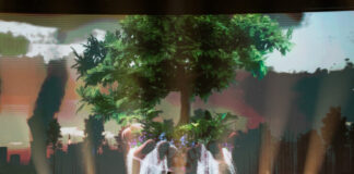 Kazakhstan: Pretty graphics, and not just on the flag! David Charlin