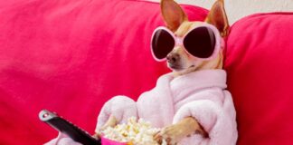 Eurovision 2023: The viewing figures Eurovision viewing figures 2023