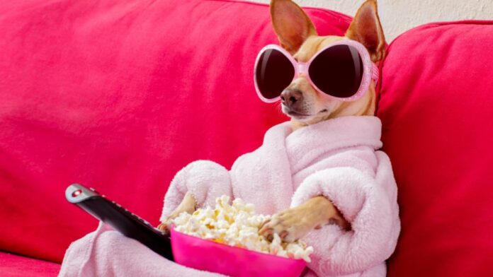 viewing figures Eurovision viewing figures 2023