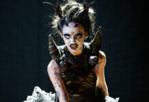 Irish Eurovision performer misses final rehearsal