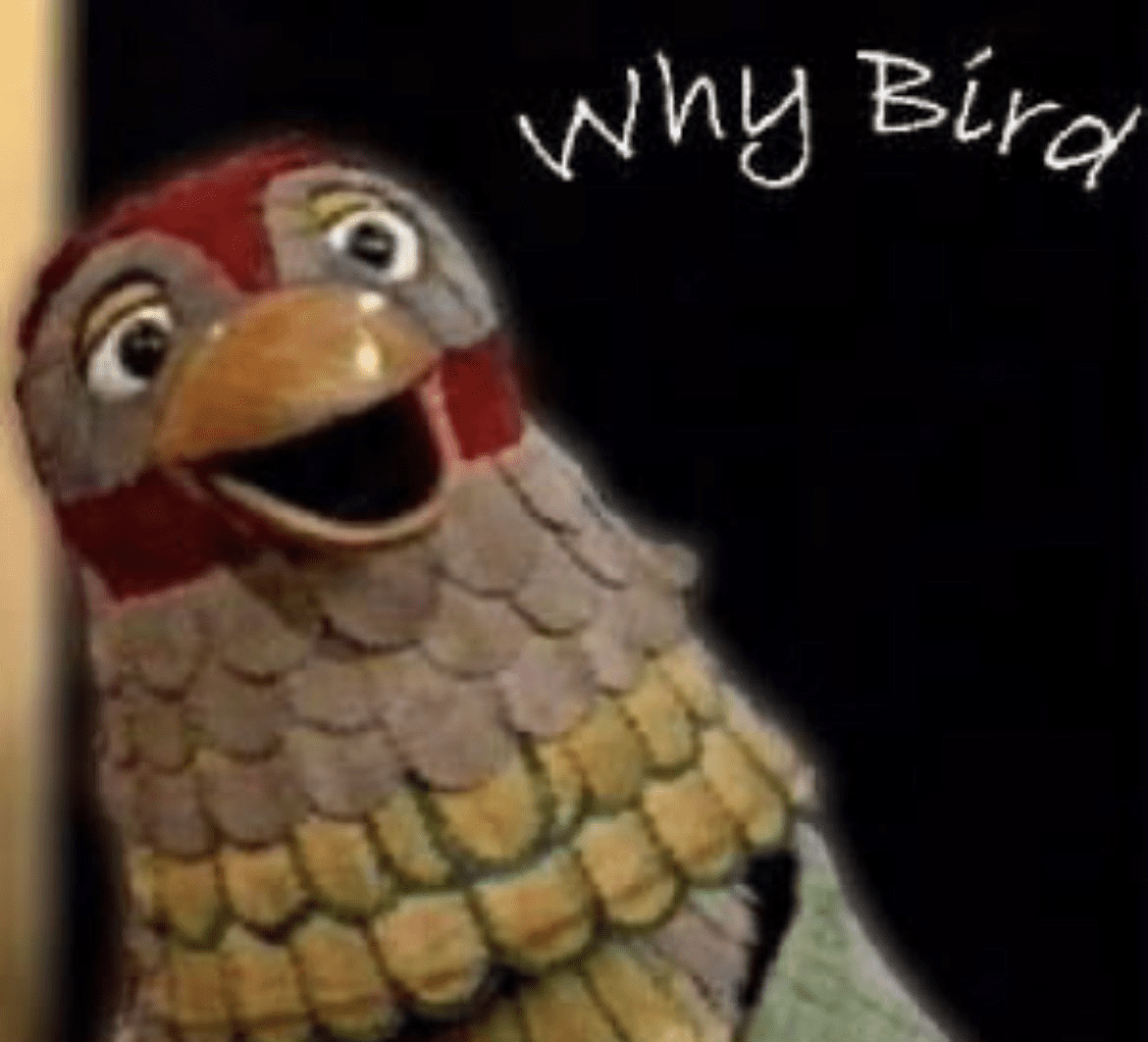 Why your favourite didn’t win Eurovision 2025? – The Middle Third!